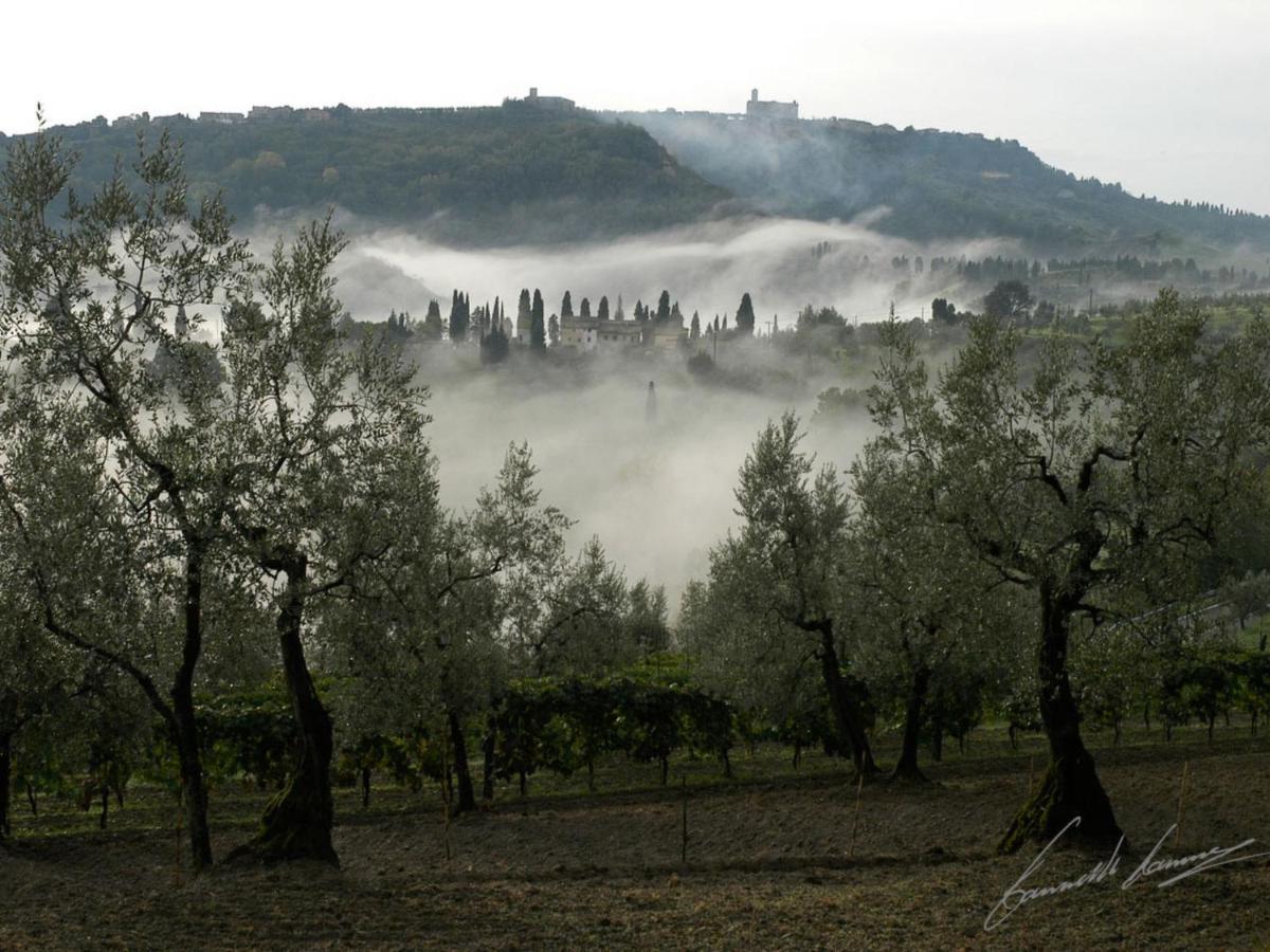 Holiday Home La Voce Del Silenzio By Interhome Volterra Bagian luar foto